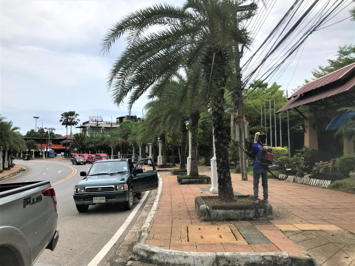 ที่บดบังวิสัยทัศน์ กิ่งไม้ที่ยื่นยาว