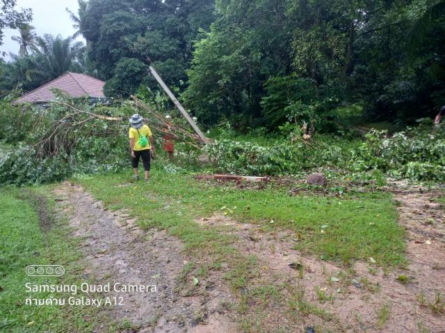 ลงพื้นที่ช่วยเหลือผู้ประสบภัยจากพายุฝนตกหนัก ต้นไม้หักโค่นทับทรัพย์สิน
