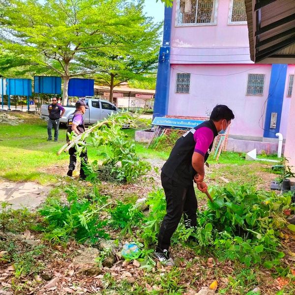 ปรับภูมิทัศน์ ตัดแต่งกิ่งไม้ ตัดหญ้า