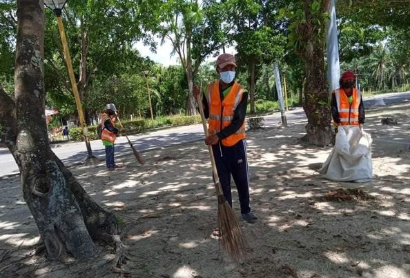 ติดตามควบคุมบริษัทผู้รับเหมา ตัดแต่งกิ่งไม้ต้นไม้ ตัดหญ้าให้เป็นระเบียบเรียบร้อย