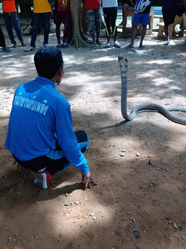 กู้ชีพ กู้ภัย ป้องกันและบรรเทาสาธารณภัย อัคคีภัยและป้องกันภัยจากสัตว์มีพิษ